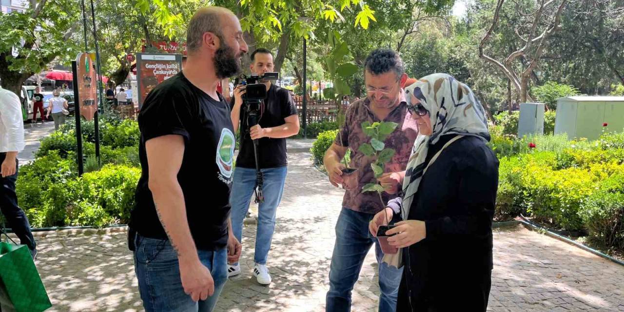 ’çiçek Doktoru’ Arslan, Babalar Günü Sebebiyle Vatandaşlara ’aronya Fidanı’ Dağıttı