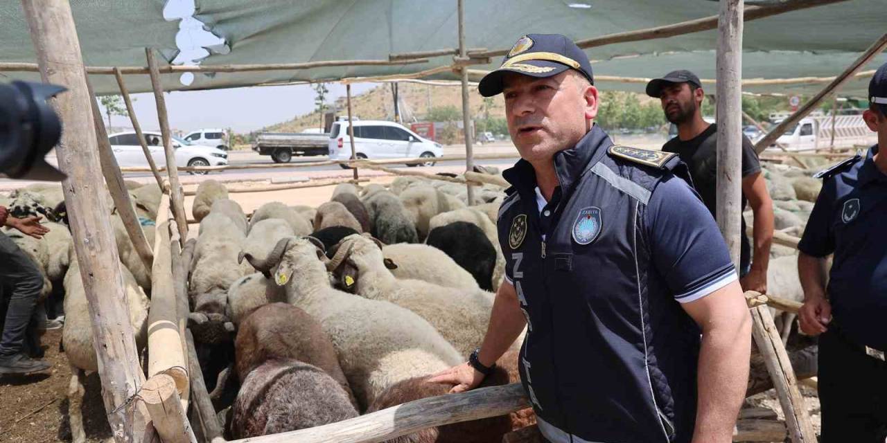 Gaziantep’te Kurban Bayramı Öncesi Sıkı Denetimler Sürüyor