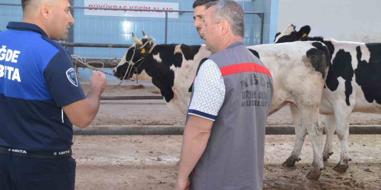 Niğde’de Kurbanlık Hayvan Satış Yerleri Denetleniyor