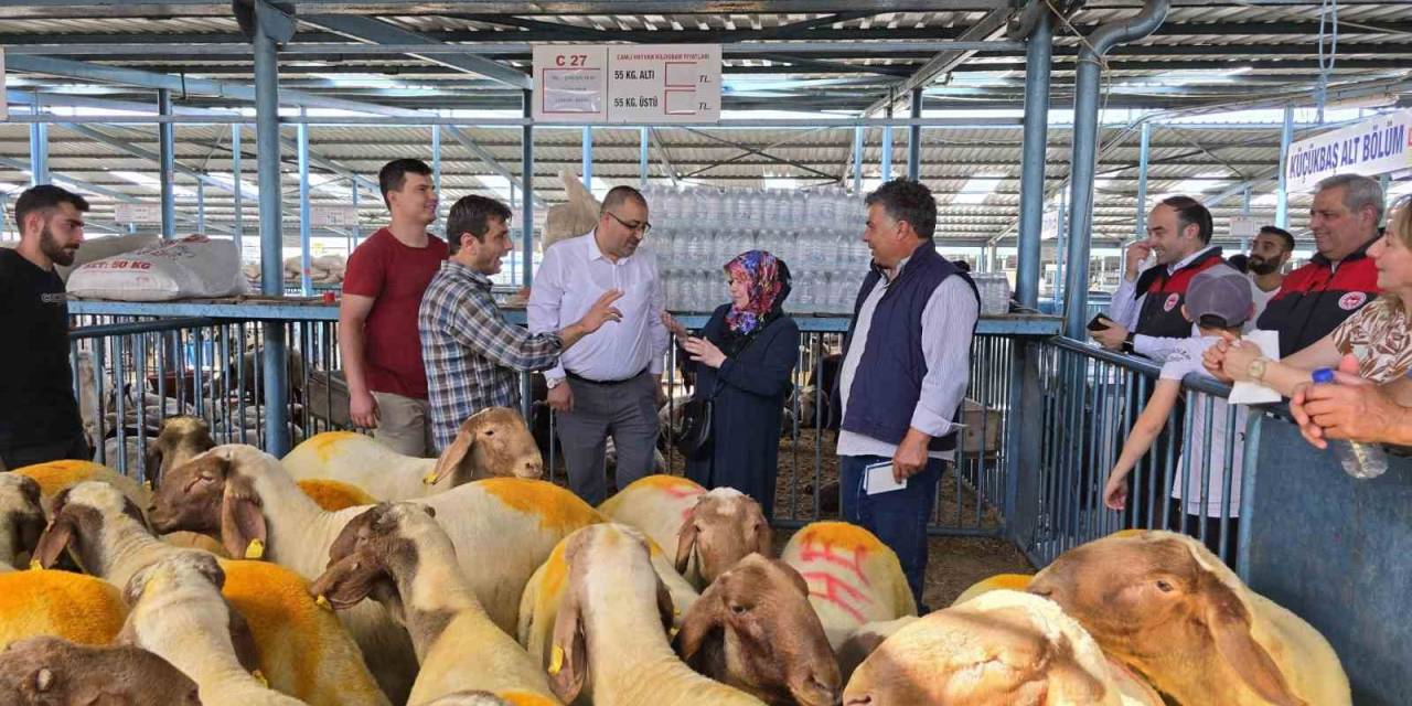 Belgesiz Kurbanlıkların Kente Girişine İzin Verilmiyor