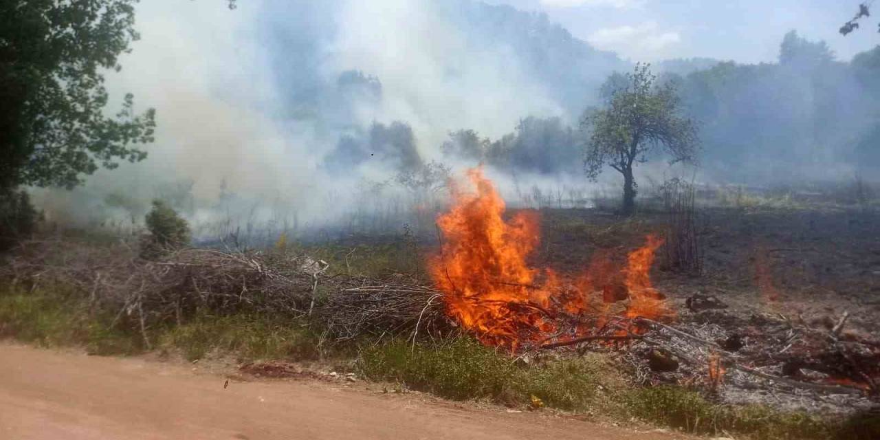 Ormanlık Alanda Çıkan Yangın Büyümeden Söndürüldü