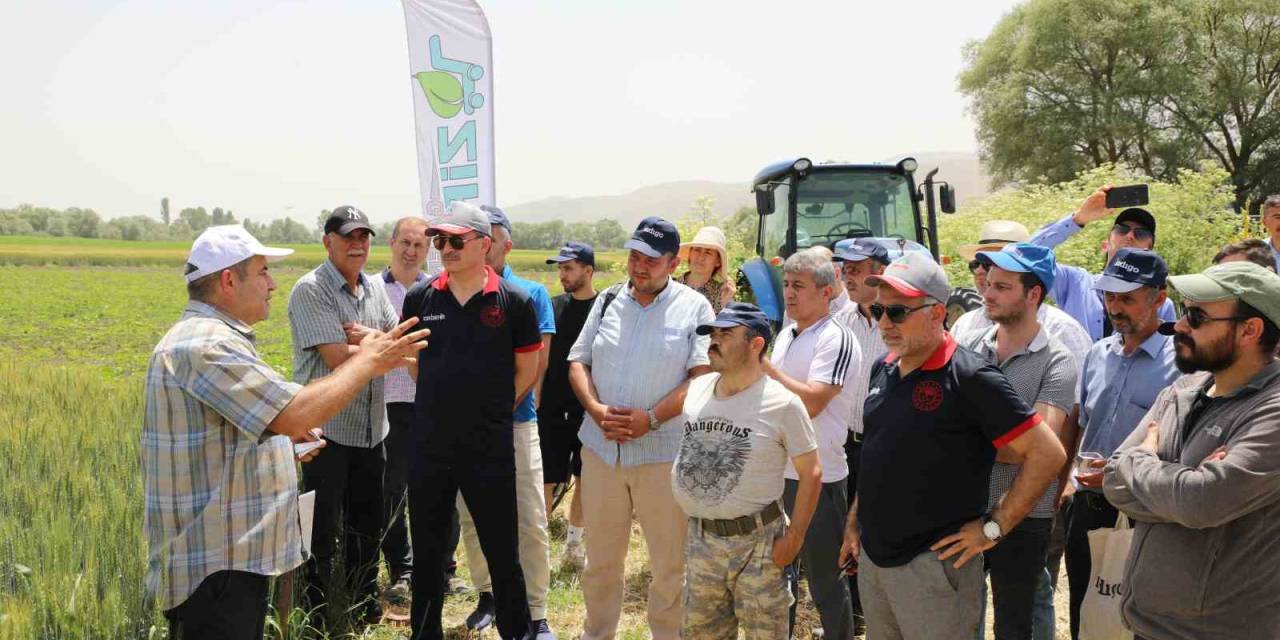 İnönü İlçesindeki Tarla Günü’nde 12 Buğday Çeşidi Tanıtıldı