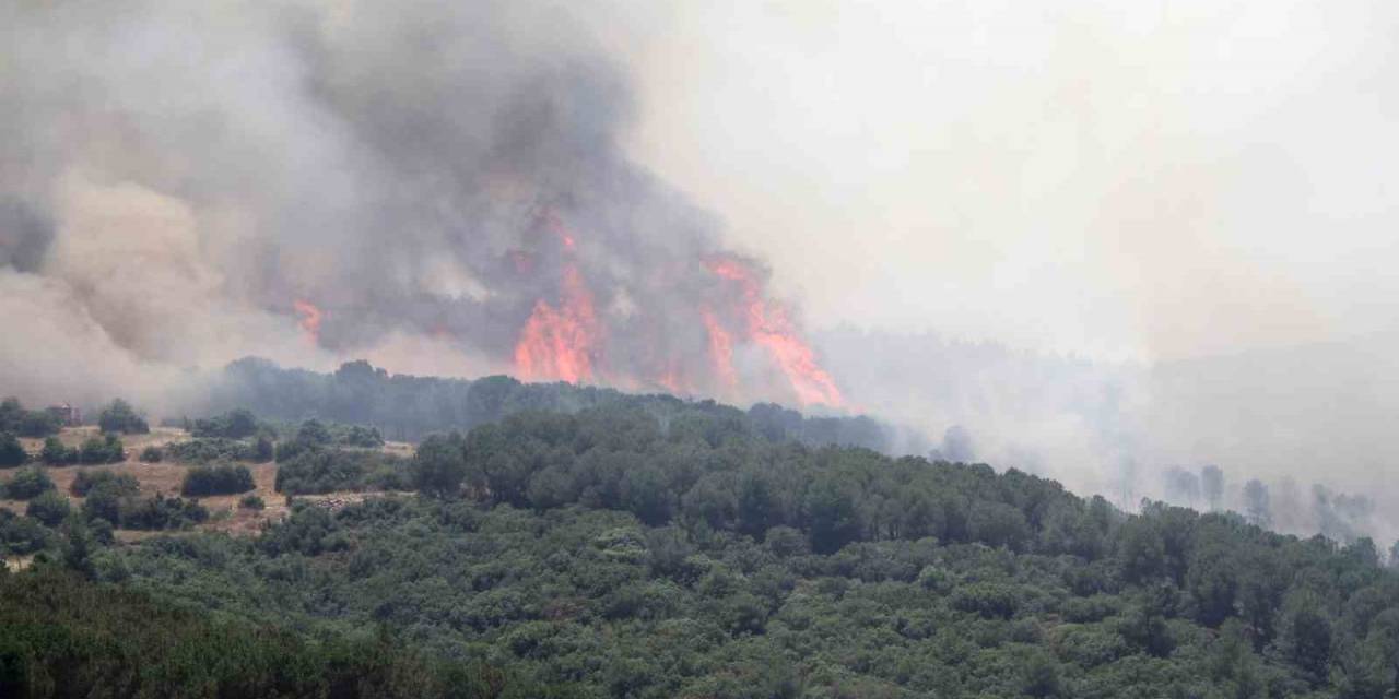 Biçerdöver Kaynaklı Yangın Ormana Sıçradı