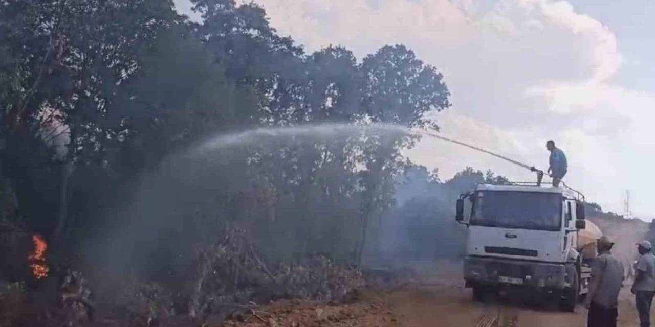 Türkiye-bulgaristan Sınırında Çıkan Yangın Söndürüldü