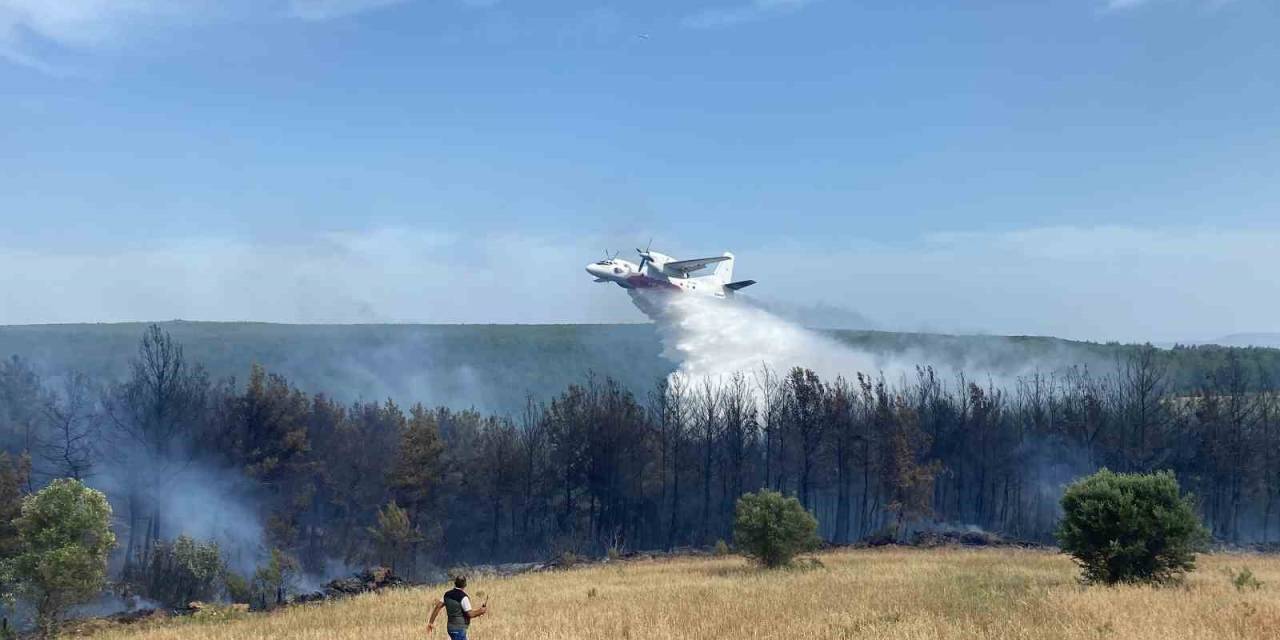 Eceabat’taki Orman Yangını Devam Ediyor