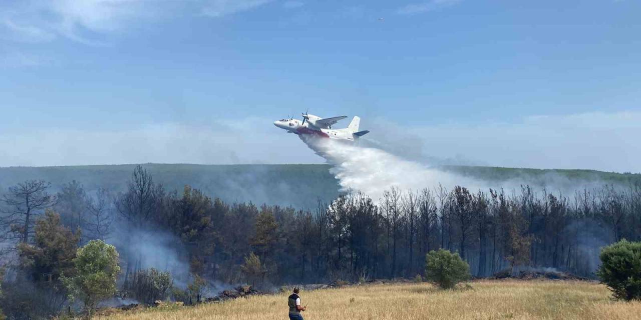 Eceabat’taki Orman Yangını Kontrol Altına Alındı