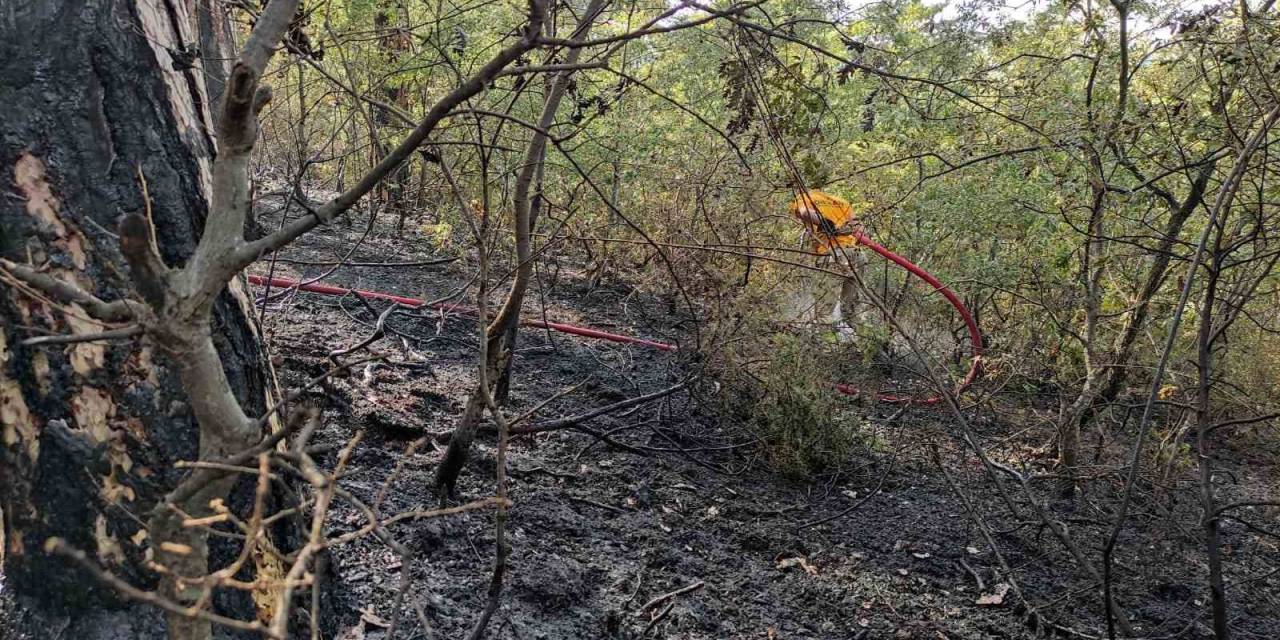 Vezirköprü’de Orman Yangını