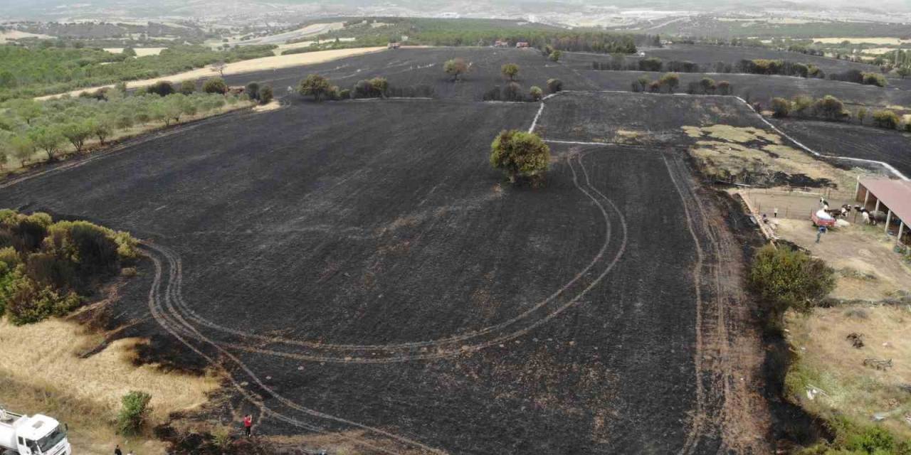 Ezine’deki Orman Yangını Kontrol Altına Alındı