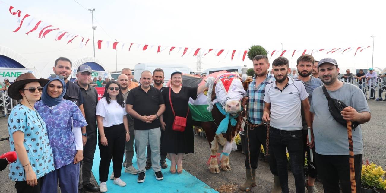 Sultangazi’de "En Güzel Kurbanlık" Yarışması Düzenlendi