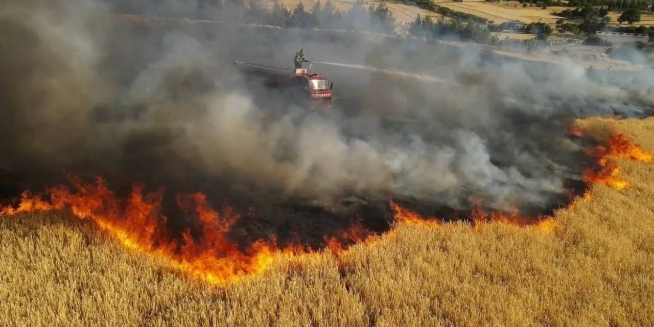 Bucak’ta Aynı Günde Çıkan 6 Farklı Yangında 400 Dekar Alan Yandı