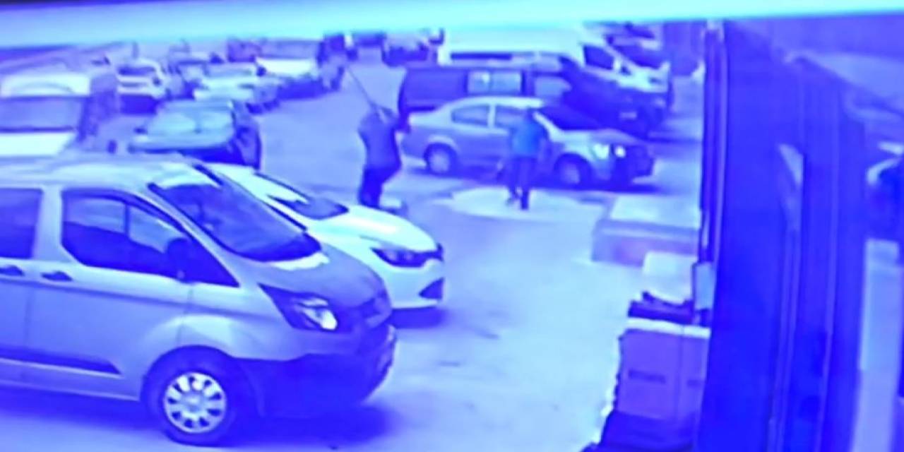 Artvin’de Sokak Köpeğine Kürekle Saldırı Tepki Topladı