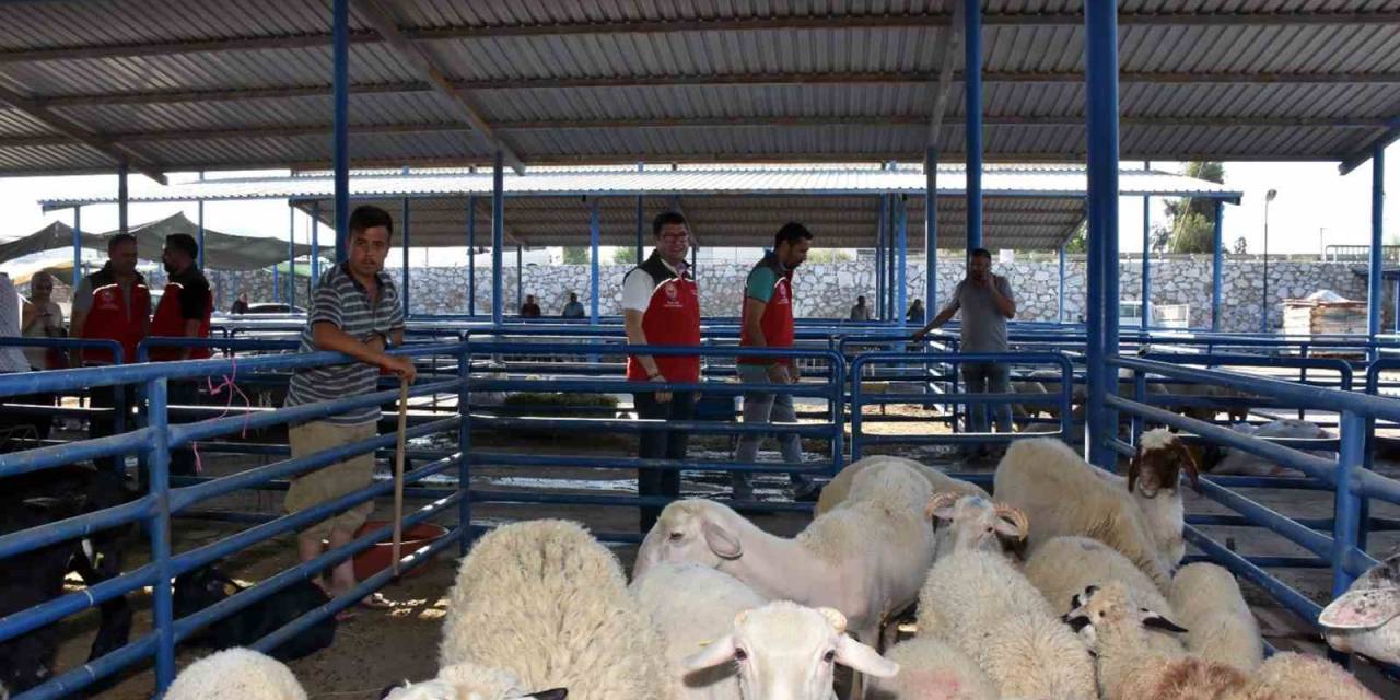 Tarım İl Müdürlüğü Ekipleri Kurban Bayramında Sahada Olacak