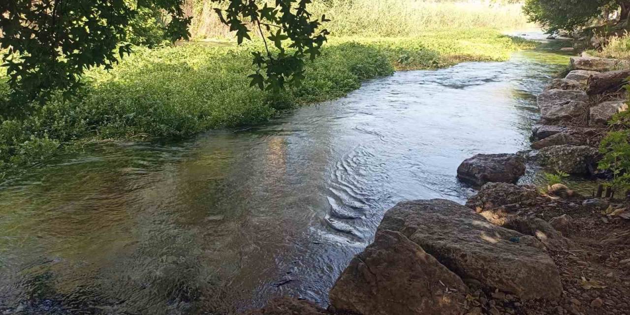 Azmak İçindeki Otlar Tehlike Saçıyor