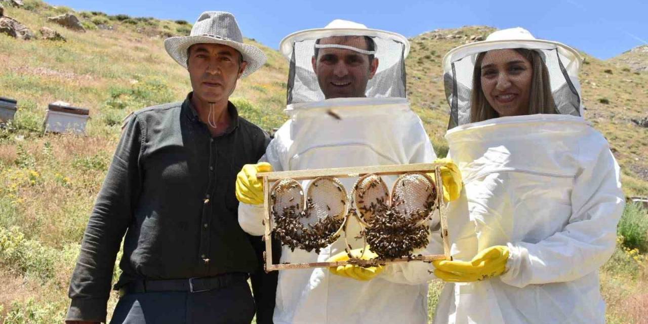 Dünyanın En Kaliteli Balını Elde Edebilmek İçin Yoğun Çaba Sarf Ediyorlar