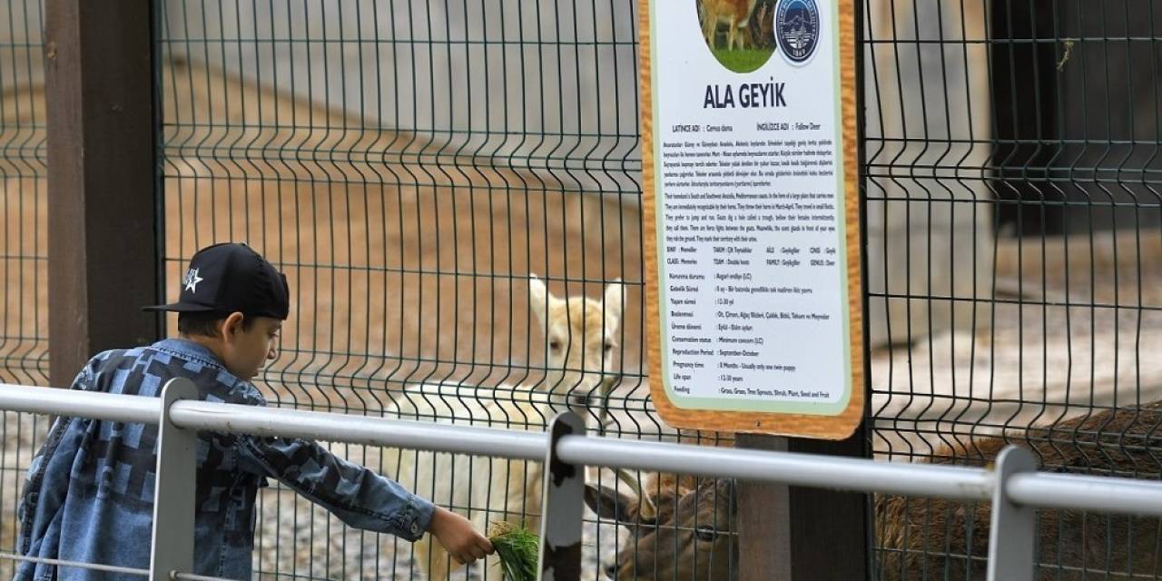 Büyükşehir Hayvanat Bahçesi, Kurban Bayramı’nda Ücretsiz