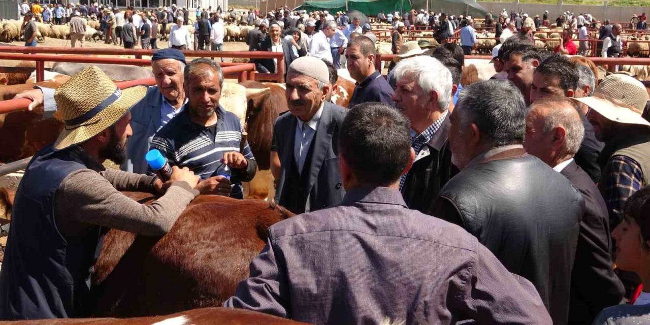 Van’da Kurban Pazarlarında Sıkı Pazarlıklar Başladı