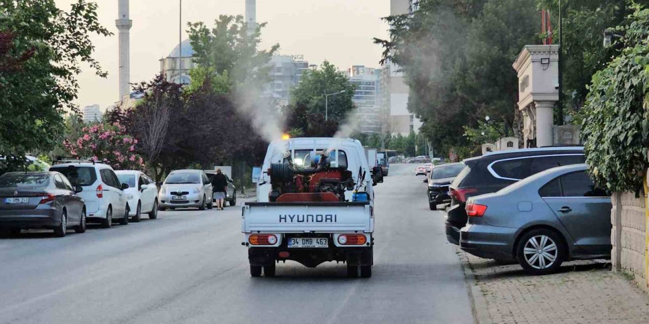 Küçükçekmece Belediyesi Sivrisineklere Karşı Alarmda
