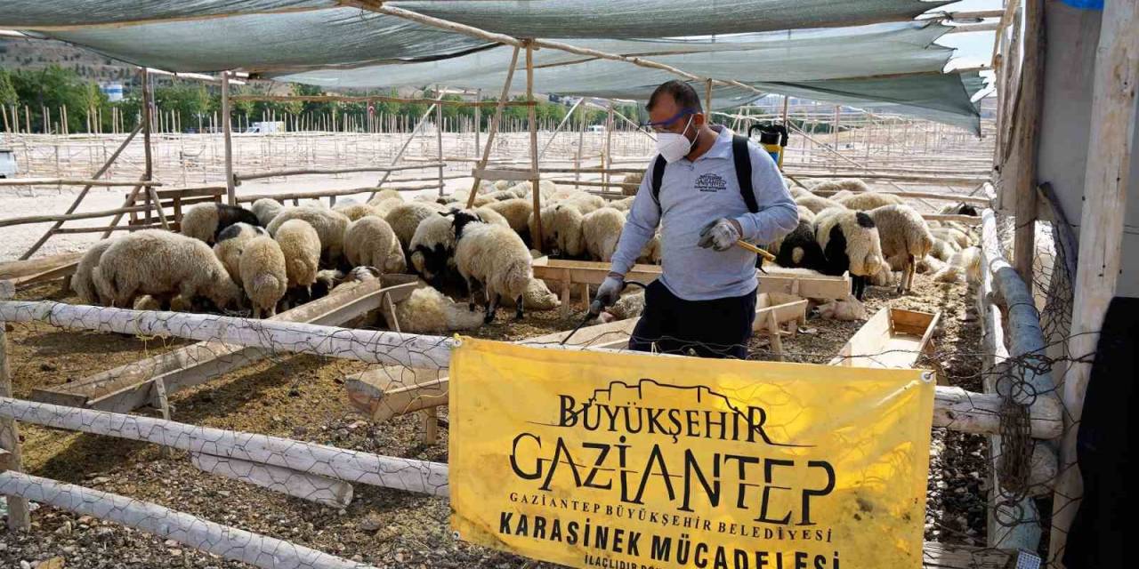 Hiç Bayramda Yaklaşık 700 Personel Sahada Olacak