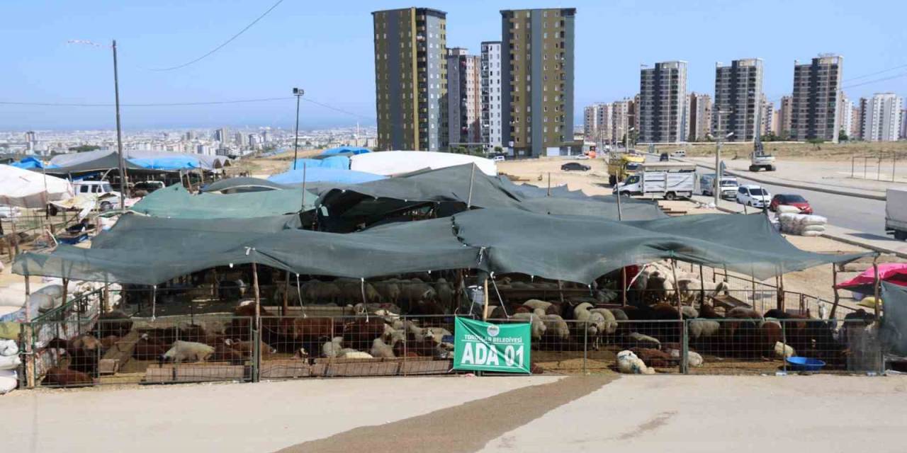 Toroslar Kurban Bayramı’na Hazır