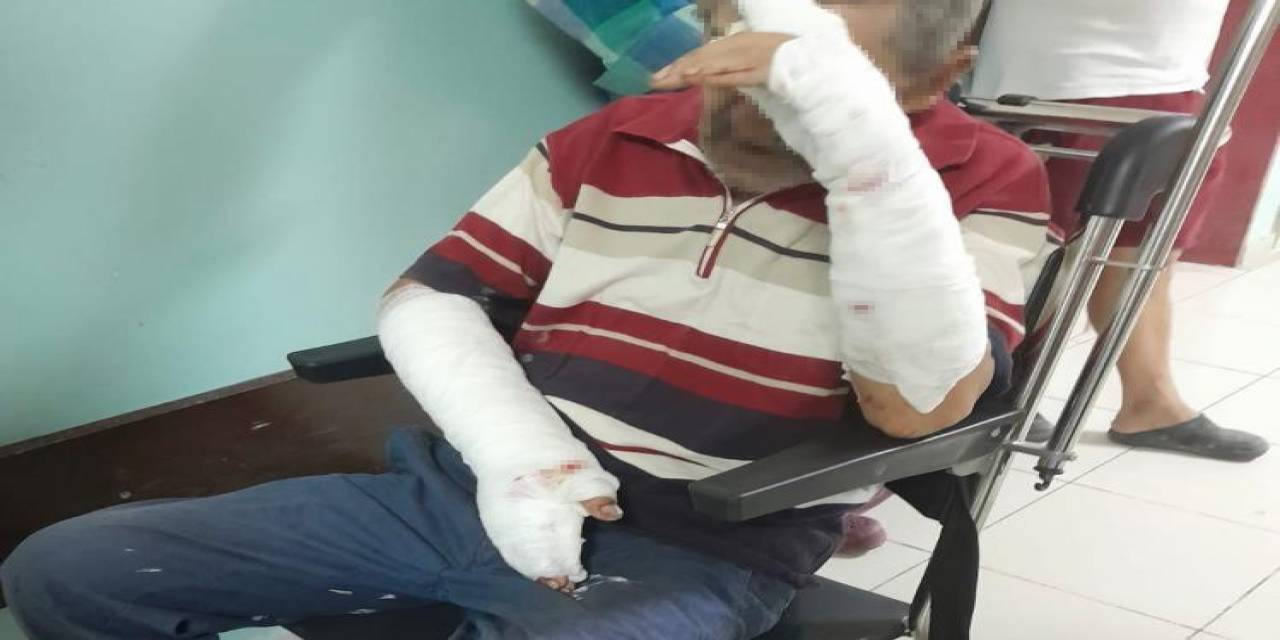 Manyas’ta Köpeklerin Saldırısına Uğrayan Bir Kişi Feci Şekilde Yaralandı