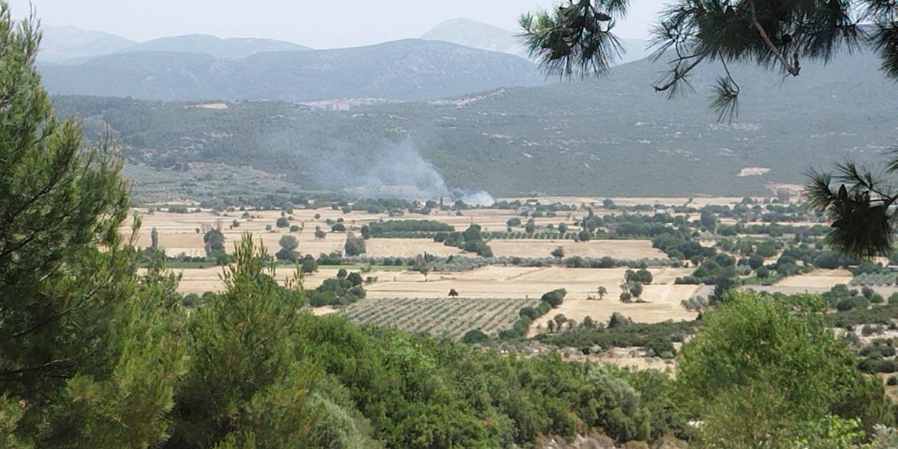 Anız Yangını Ormana Sıçramadan Söndürüldü