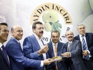 Ab Yolundaki Aydın İnciri Yörex’te