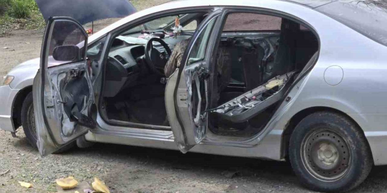 Kanada’da Bir Ayı Otomobile Girip Koltukları Parçaladı