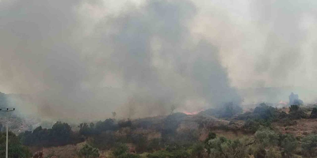 Didim’de Zirai Alan Yangını