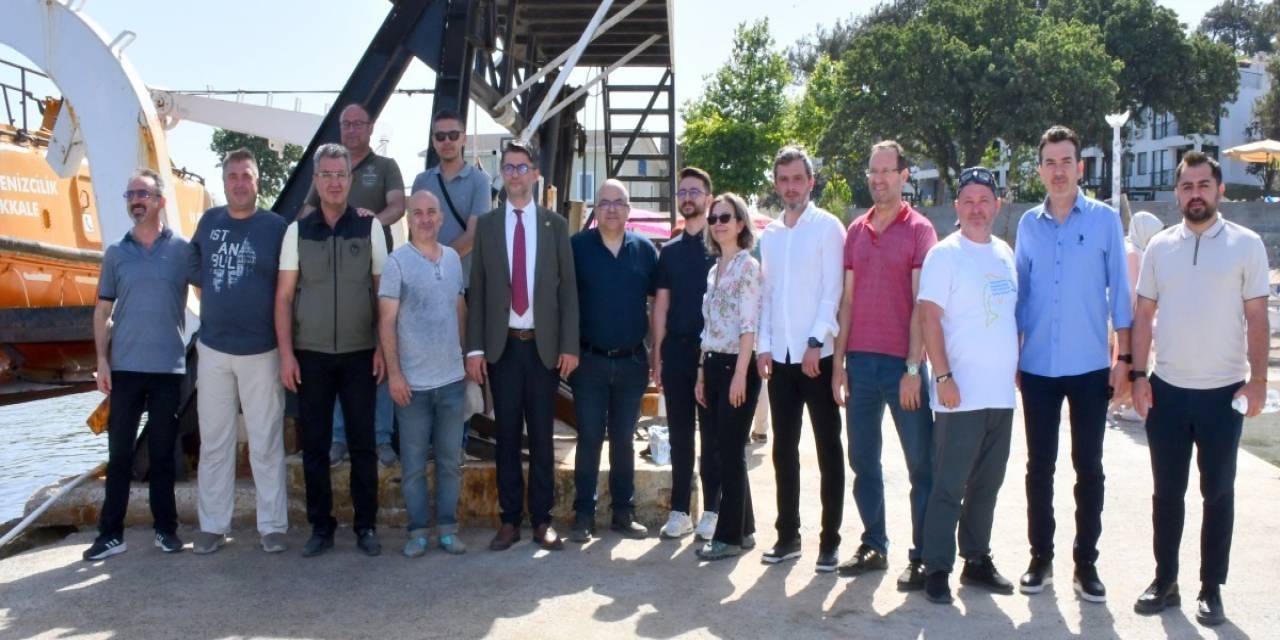 Çomü Tarafından Yetiştirilen Istakoz Yavruları Denize Bırakıldı