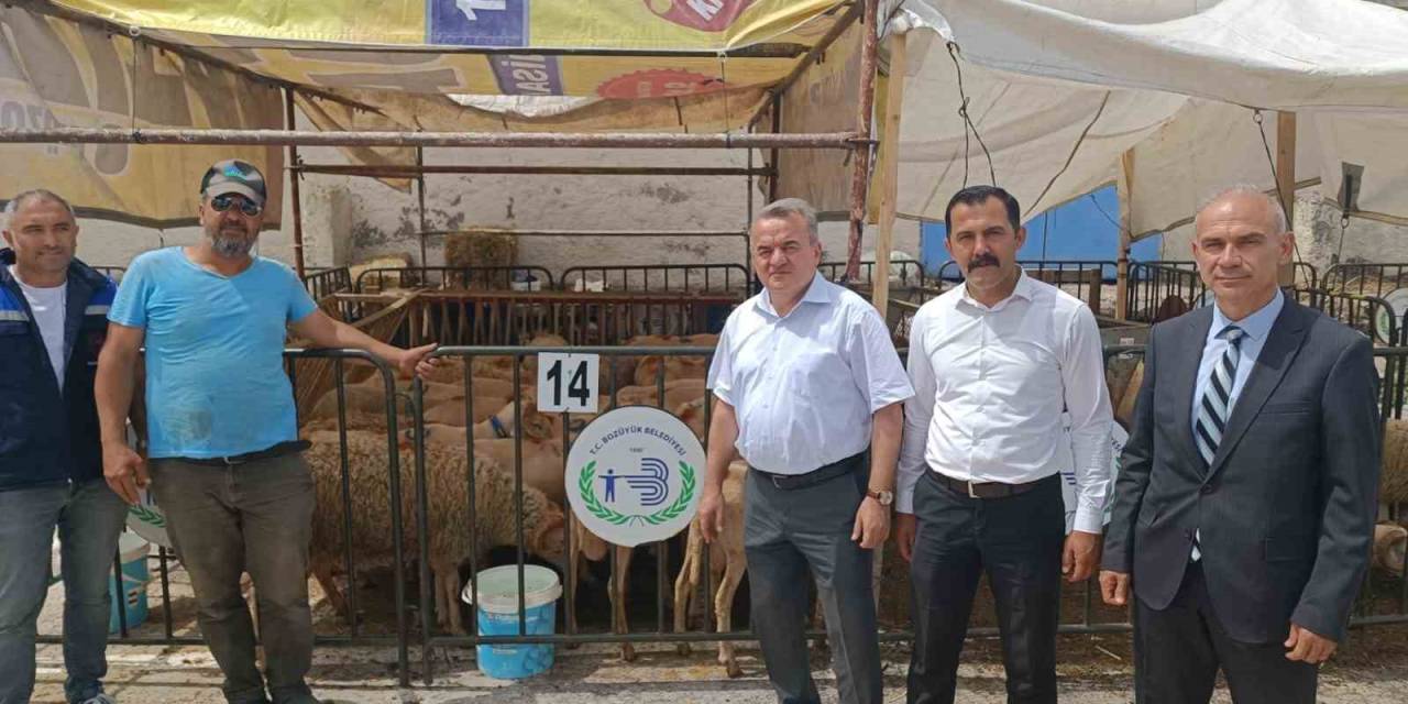 Kaymakam Öztürk Hayvan Pazarında İncelemelerde Bulundu