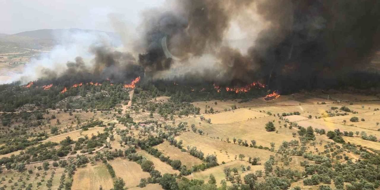 Milas Yangını Kontrol Altında