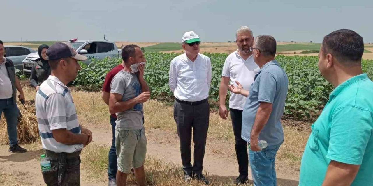 Keşan’da 350 Dönüm Buğday Kül Oldu