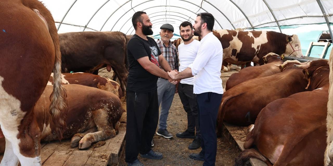 Sultangazi Kurban Satış Alanı’nda Bayram Yoğunluğu