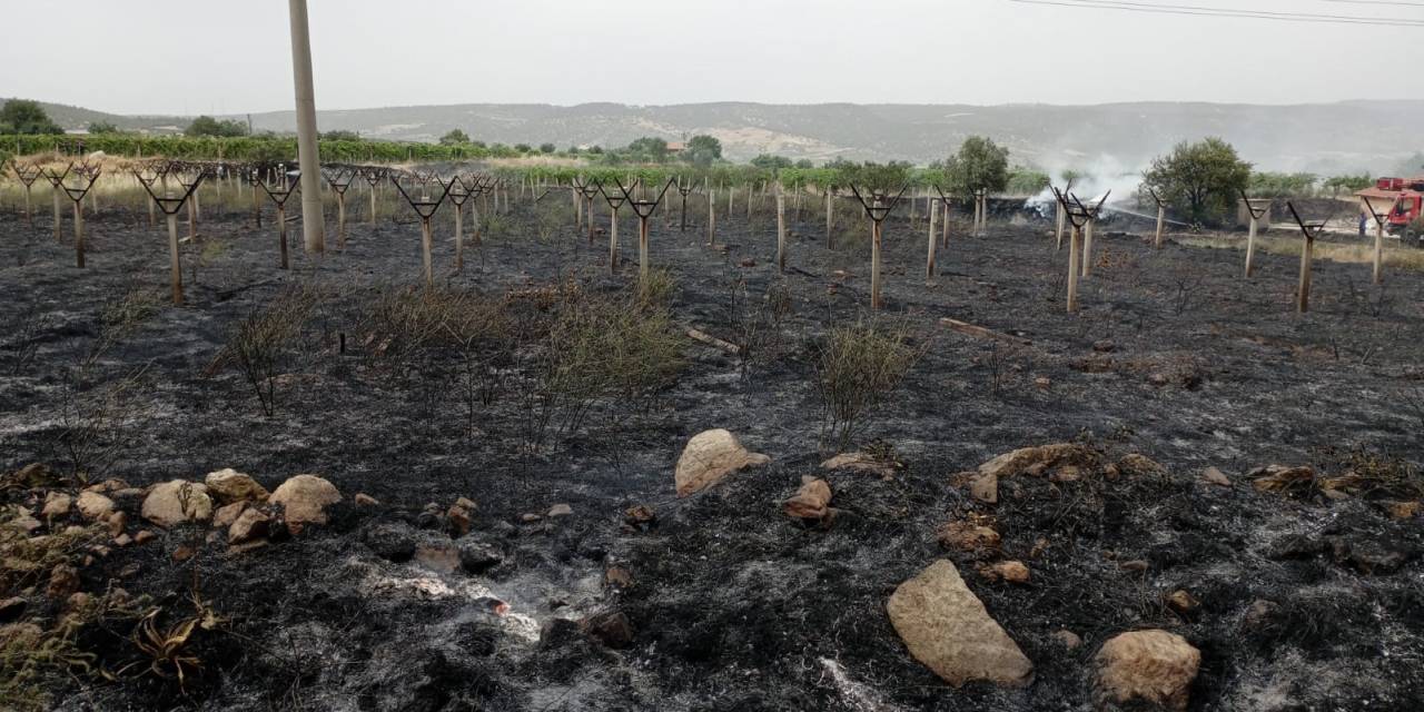 Yol Kenarında Çıkan Yangın Bağlara Ulaşmadan Söndürüldü