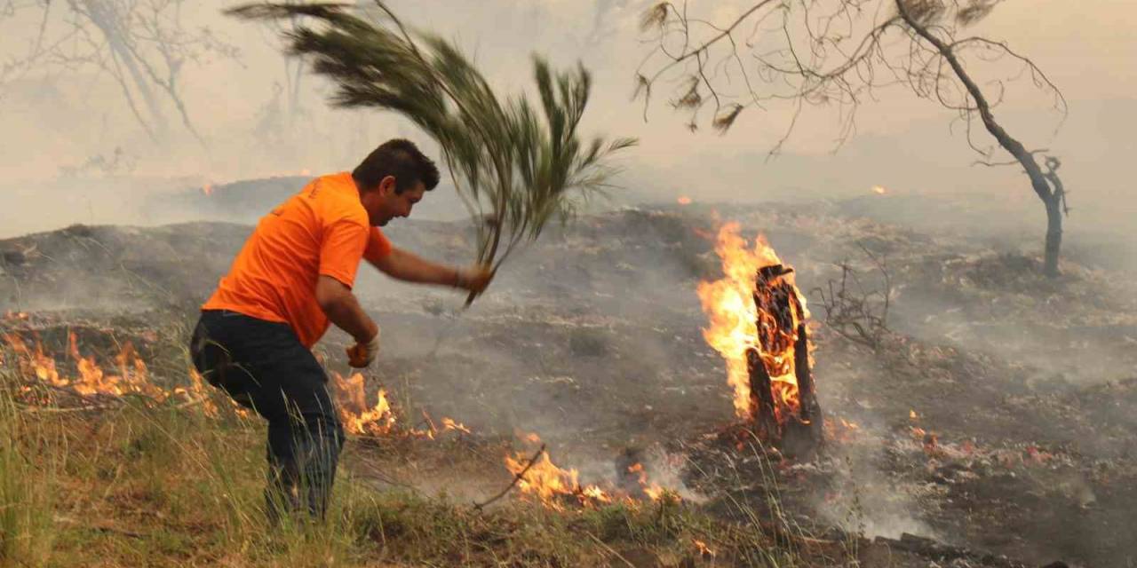 Denizli’de Yıldırım Düşmesi Sonucu Pek Çok Noktada Başlayan Yangınlar Devam Ediyor