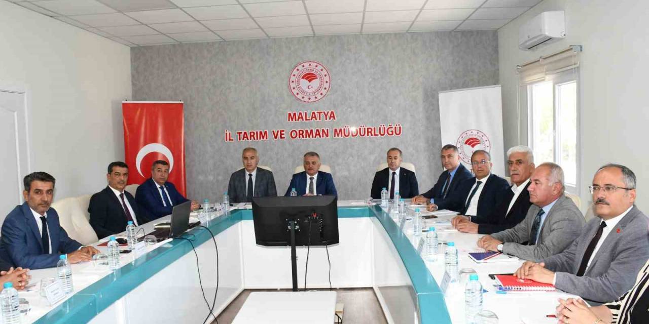 Malatya Kayısısında 2024 Yılı Tahmini Rekoltesi 107 Bin 517 Ton Olarak Açıklandı