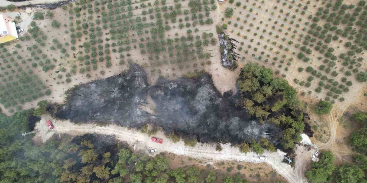 Manisa’daki Orman Yangını Köye Sıçramadan Kontrol Altına Alındı