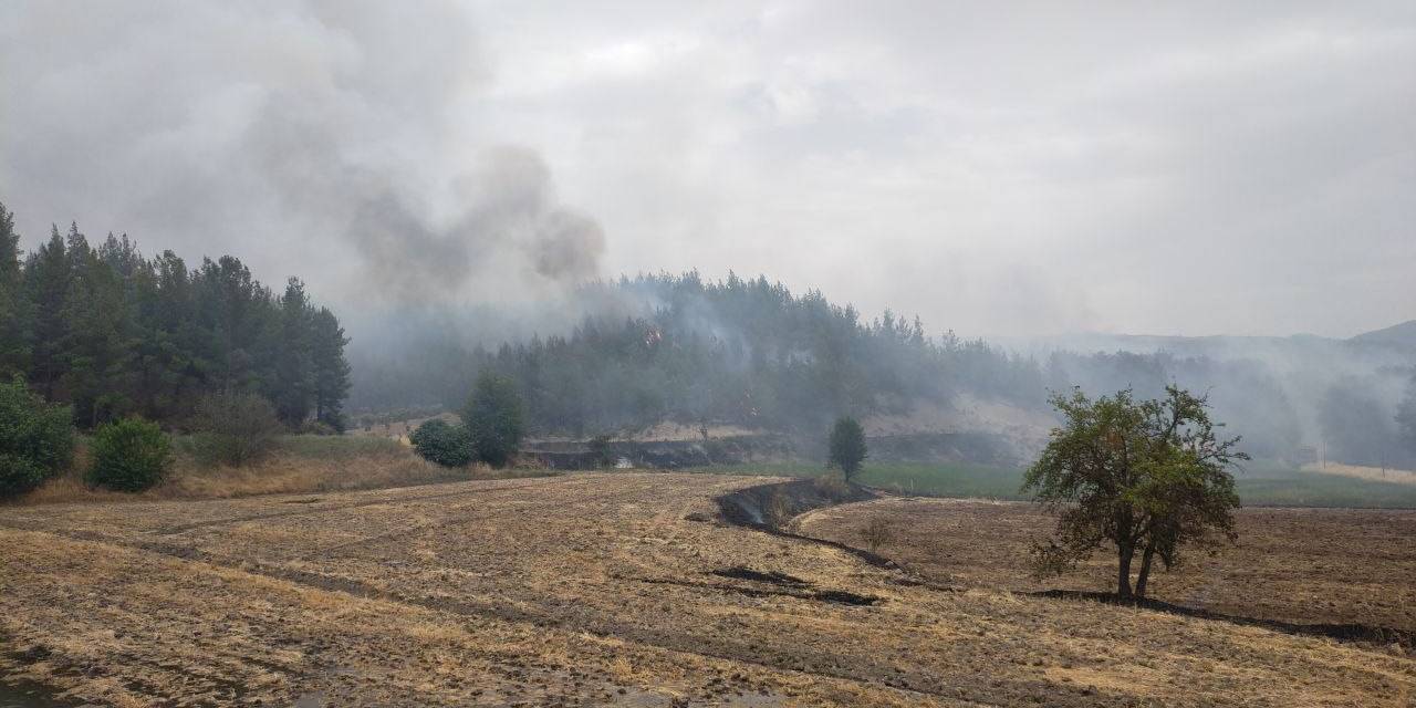 Denizli’deki Yangın Yerleşim Alanlarından Uzaklaştı