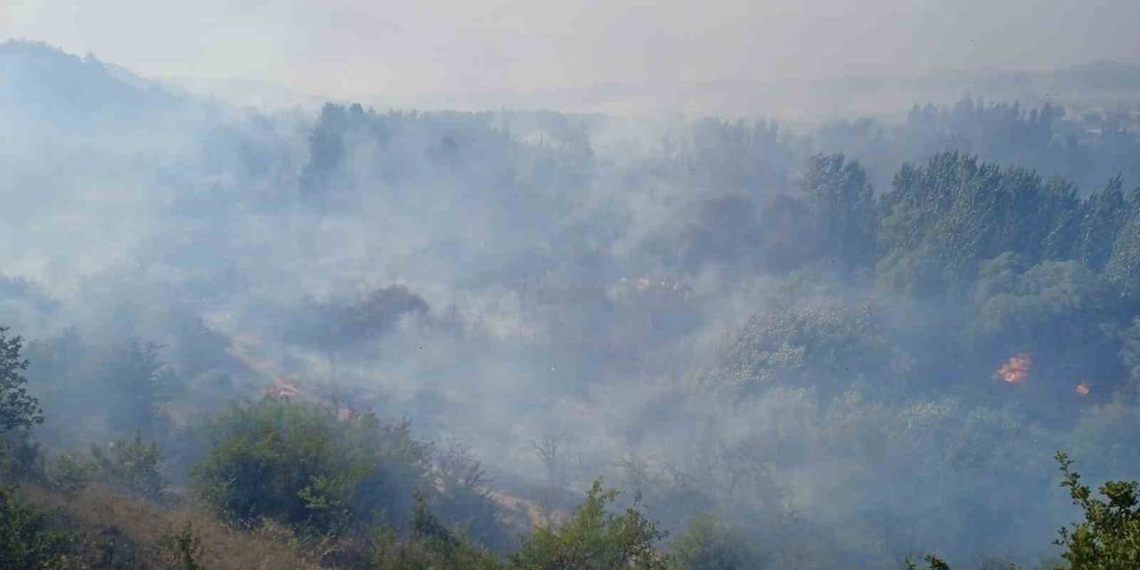 Çöplükte Çıkan Yangın Tekrar Alevlendi