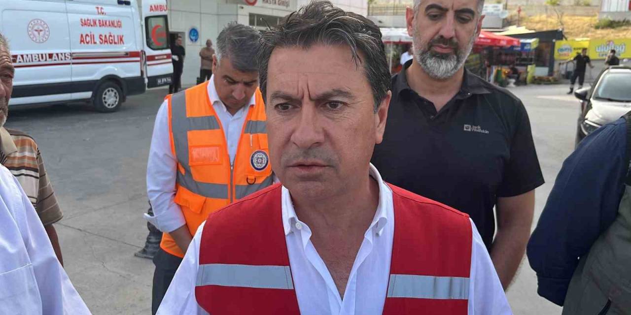 Milas’ta 48 Hektar Alan Yandı