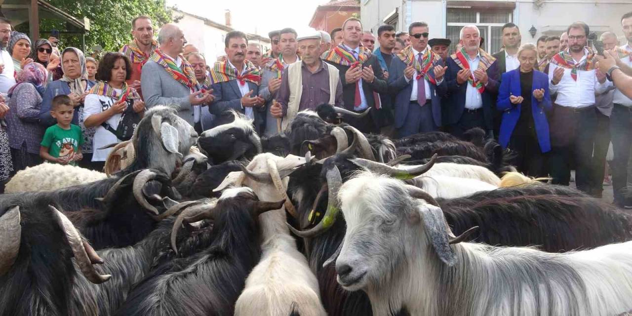 Isparta’da 400 Yıldır Süren "Geleneksel Kurban İndirme Geleneği" Gerçekleştirildi