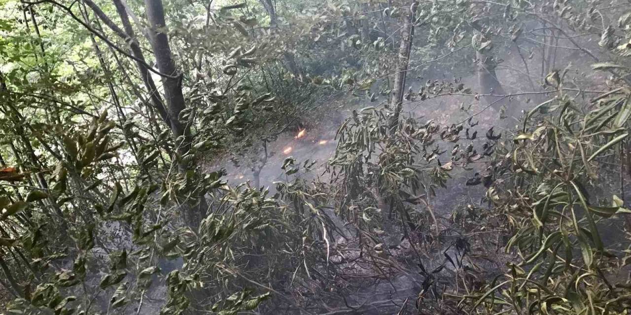 Yıldırım Düşmesi Sonucu Ormanlık Alanda Çıkan Yangın Büyümeden Söndürüldü