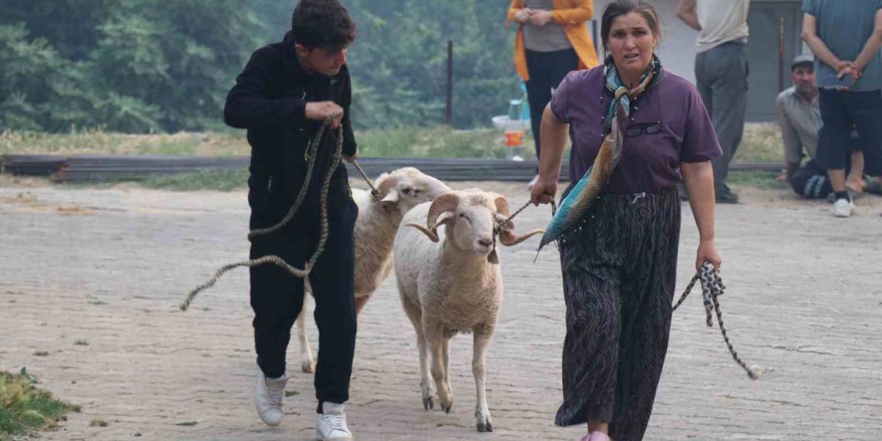 Bin Nüfuslu Mahallenin Tahliyesi Devam Ediyor