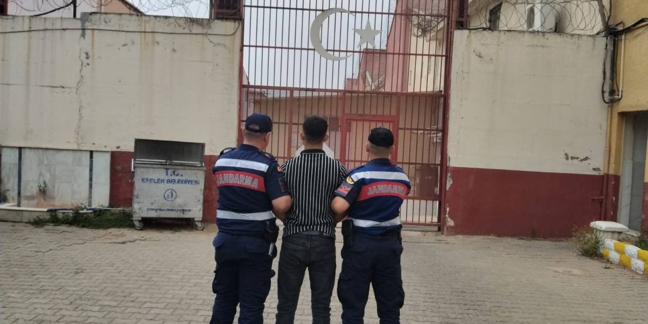 Jandarmadan Kuzu Operasyonu