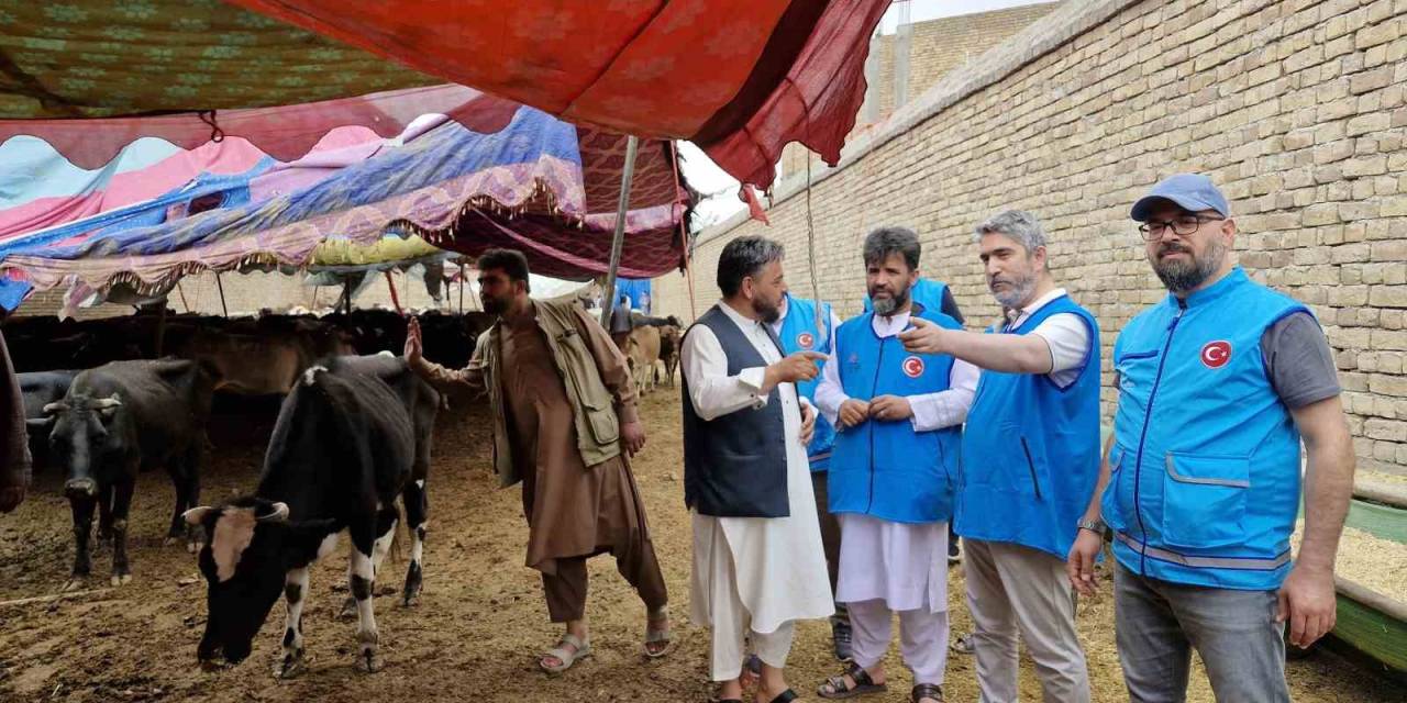 Tdv, Afganistan’da 13 Bin 300 Hisse Kurban Eti Dağıtacak