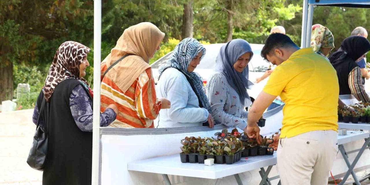 Mezarlık Ziyaretleri İçin 20 Bin Çiçek Dağıtıldı