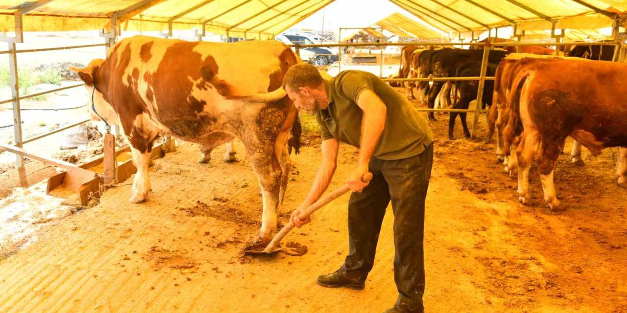 Esenyurt Belediyesi Tarafından Hayvansal Atıklardan Organik Gübre Elde Ediliyor