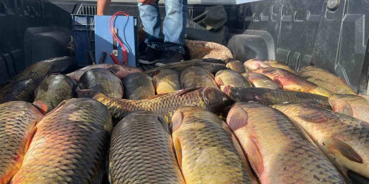 Beyşehir Gölünde Elektroşokla Avlanmaya Şok Ceza