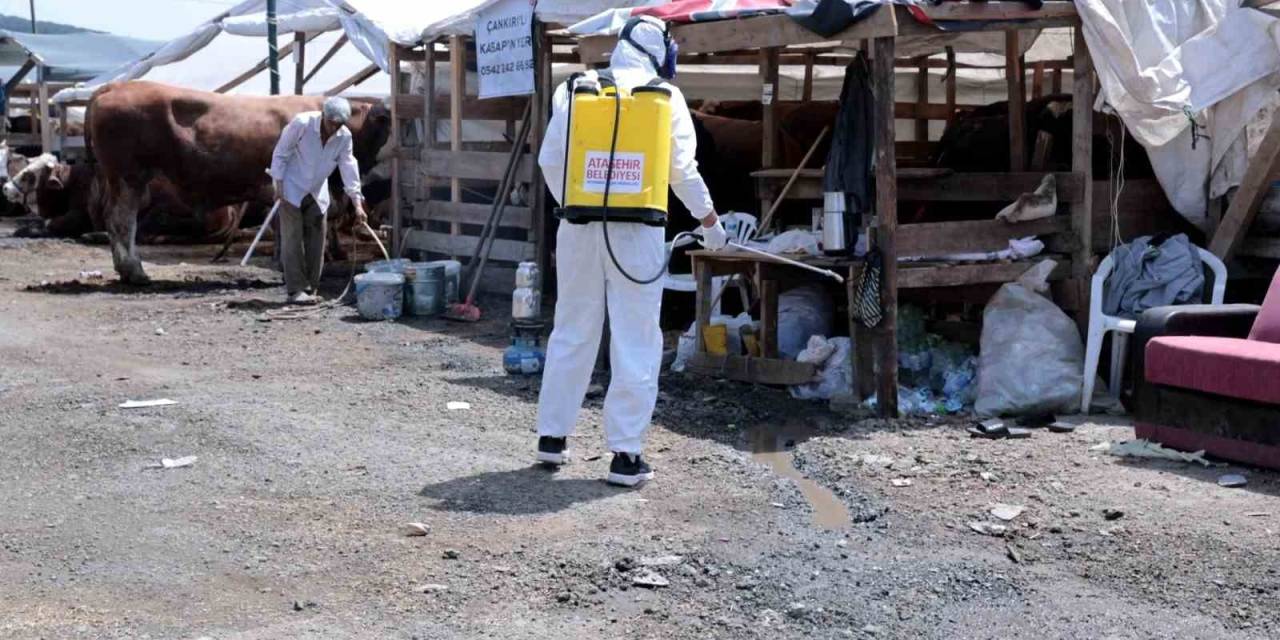 Kurban Bayramı İçin Hijyen Alarmı: Hastalık Riskine Karşı Harekete Geçtiler