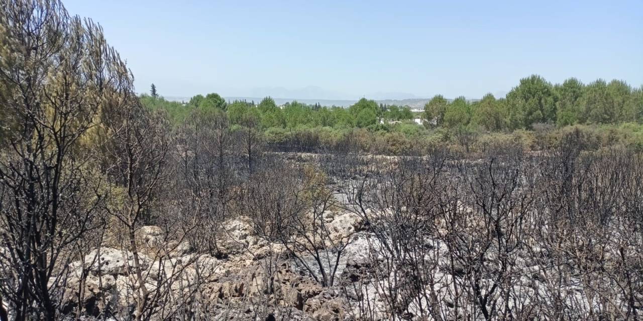 Antalya’da Orman Yangınında 2 Hektar Alan Zarar Gördü